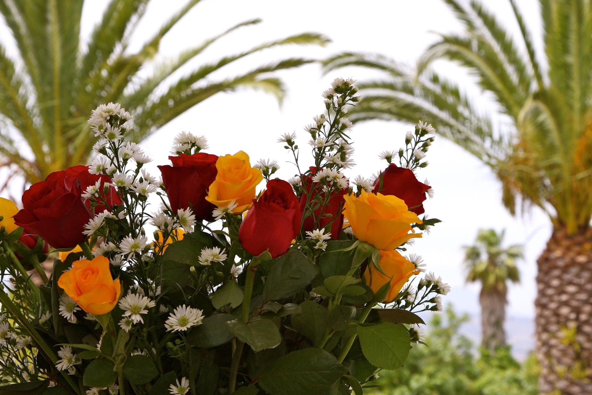 Four Palms Accommodation Durbanville Esterno foto
